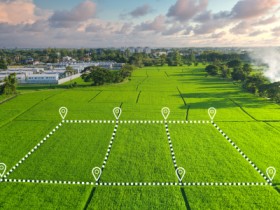 Land Investment